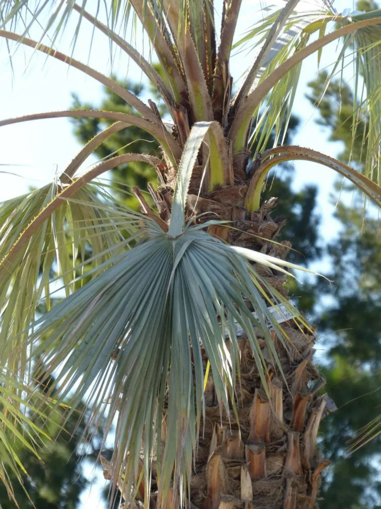 P1040670 5
