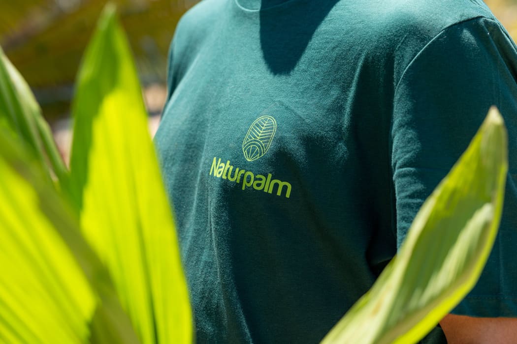 Persona del equipo de Naturpalm con camiseta del vivero, entre hojas de palmera