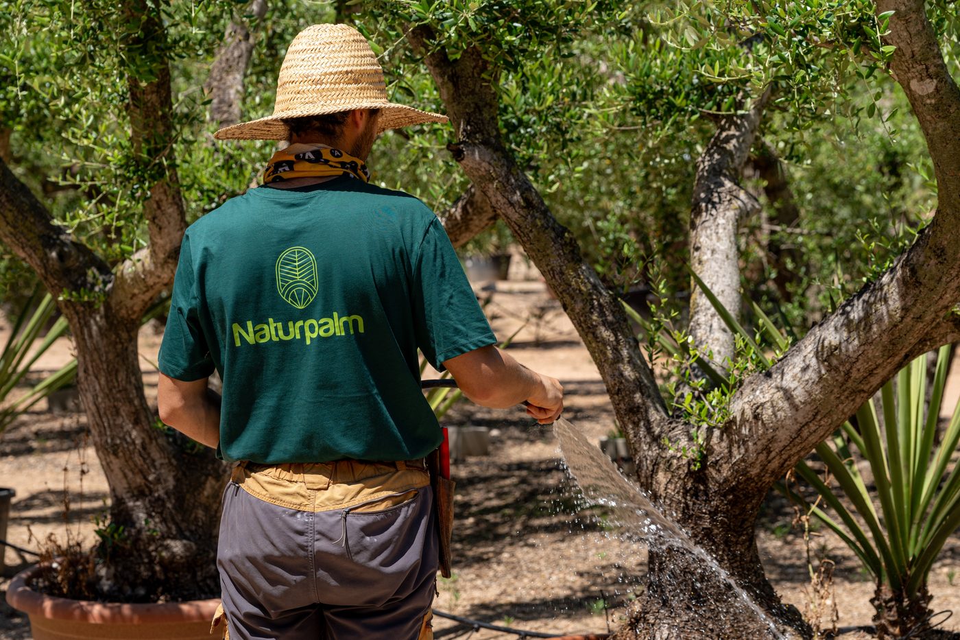 Vivero NaturPalm