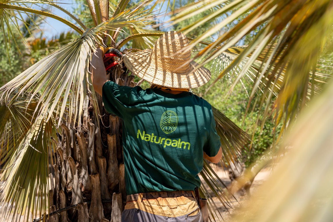 Vivero NaturPalm