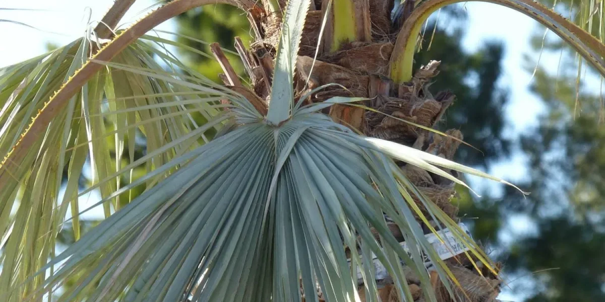 P1040670 5